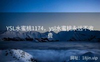 YSL水蜜桃1174，ysl水蜜桃永远不收费
