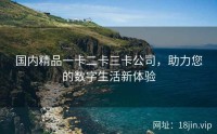 国内精品一卡二卡三卡公司，助力您的数字生活新体验