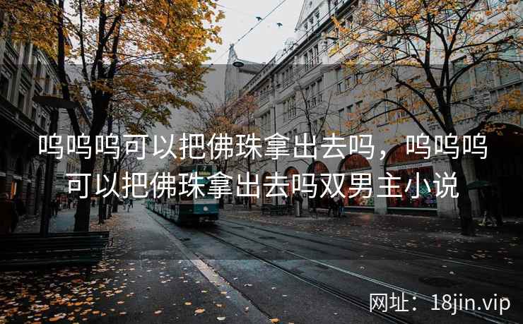 呜呜呜可以把佛珠拿出去吗，呜呜呜可以把佛珠拿出去吗双男主小说