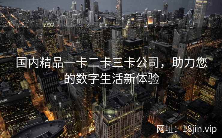 国内精品一卡二卡三卡公司,助力您的数字生活新体验 国内精品一卡二卡三卡公司,助力您的数字生活新体验